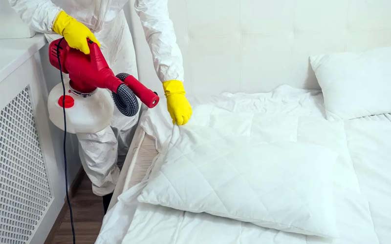 BEST PEST CONTROL IN DUBAI