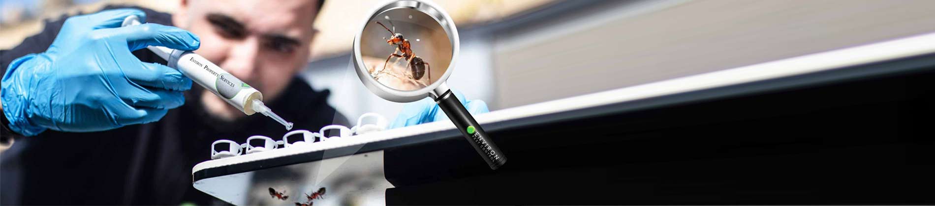 PEST CONTROL UAE